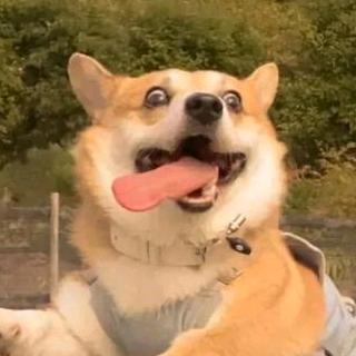 昵称被我吃掉了.