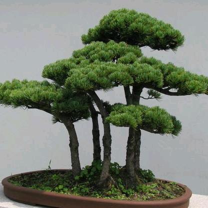 健康