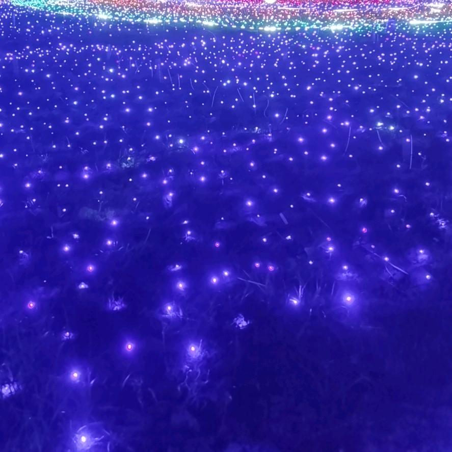 皮皮