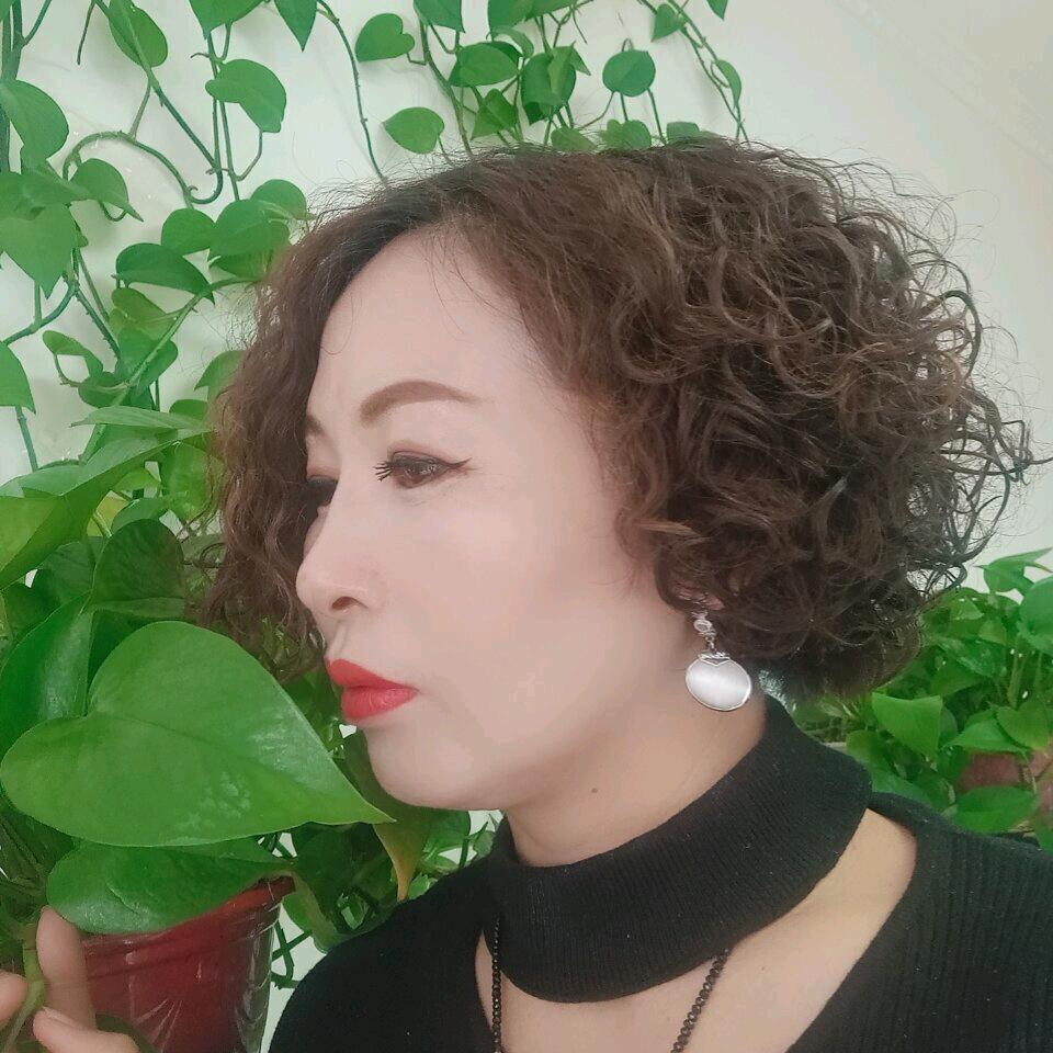 紫戴迷离