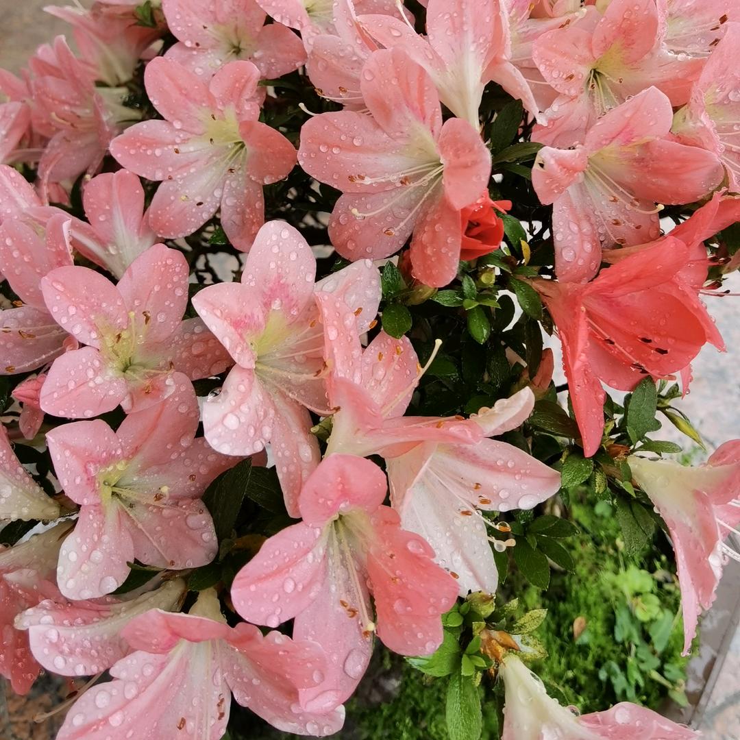 🌈🌈我与你🌈🌈