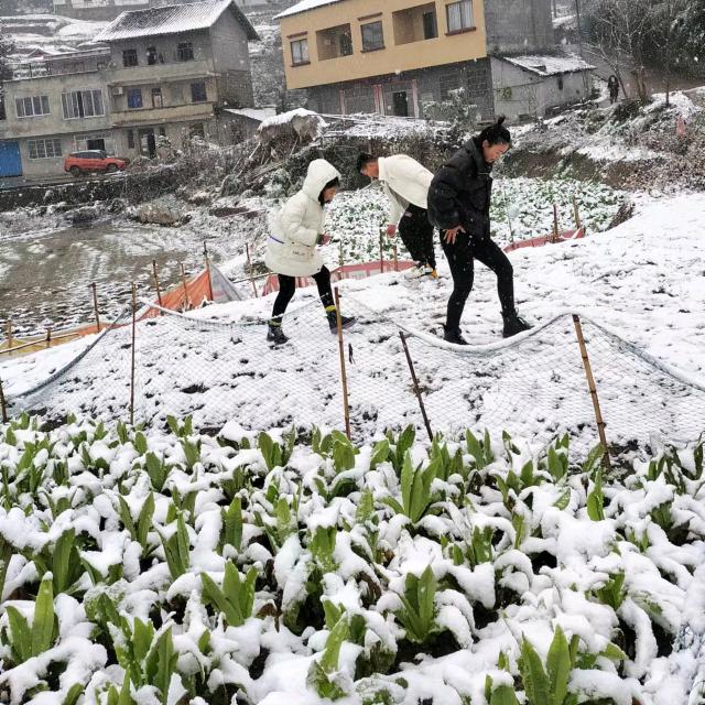 大竹智能锁，门窗装修超市
