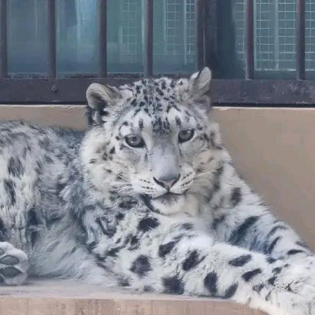 酱油 ₂₆₆🎵