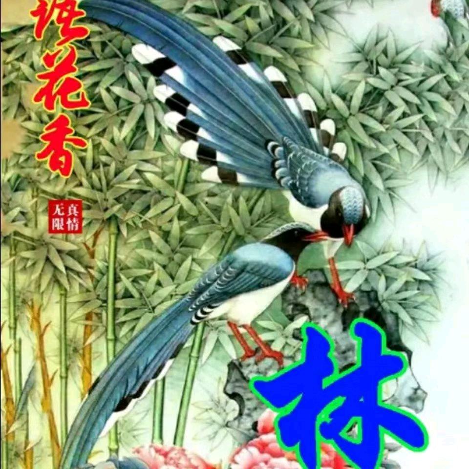 林生