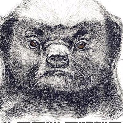 世界这么大，哪也不想去