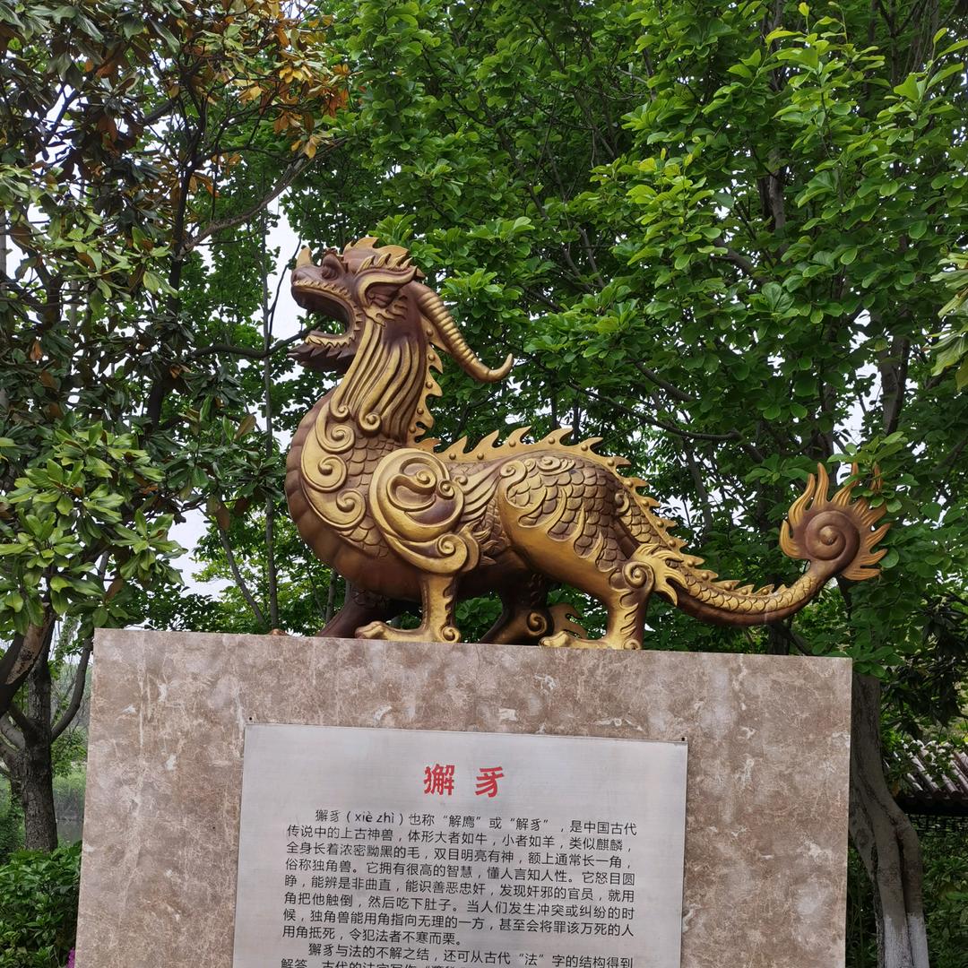 李子熟了