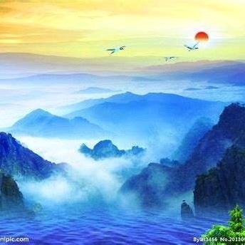 阿玮yzdam