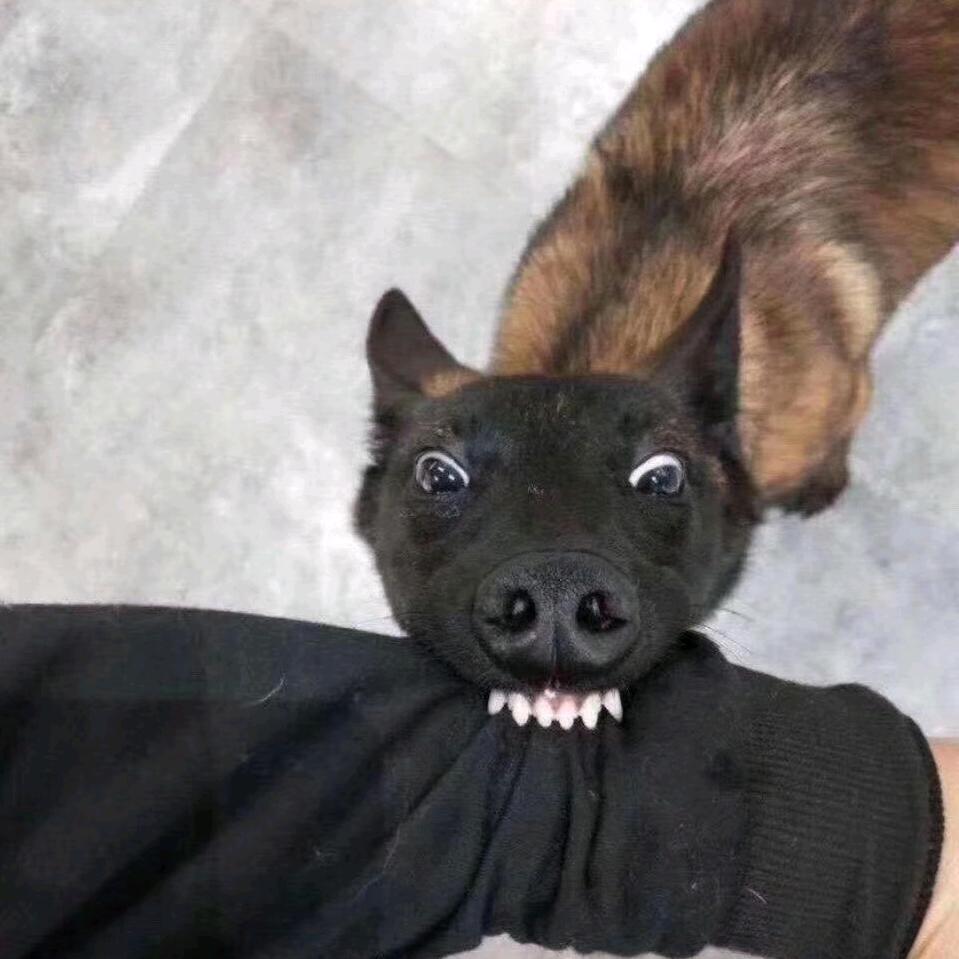 常亮烧烤