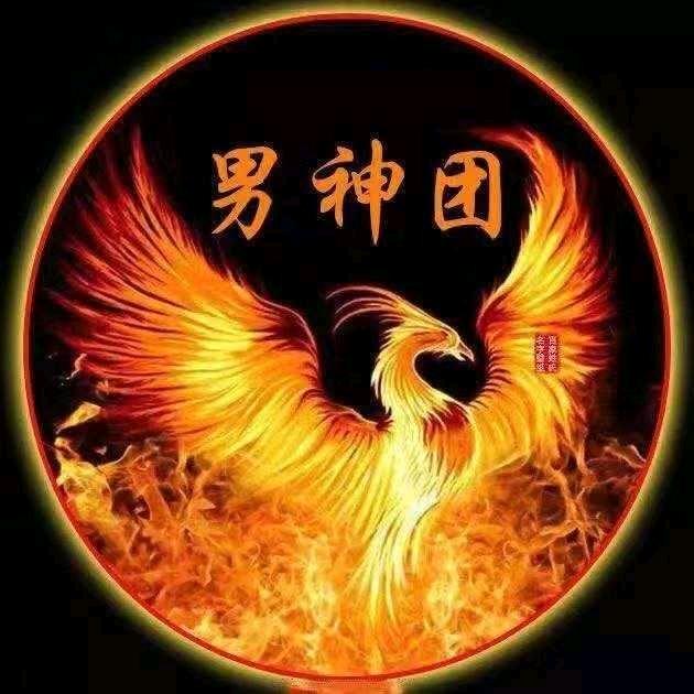 男神团5277-陶红
