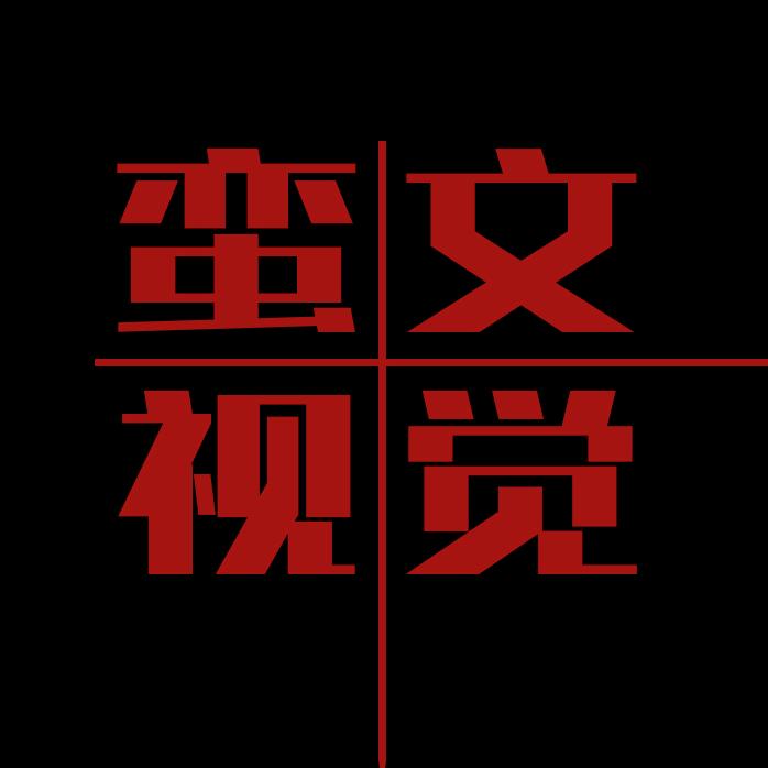 蛮文视觉