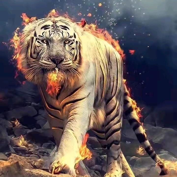 猛虎鞋仓女鞋批发