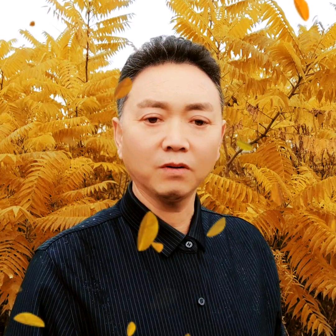 山河人家