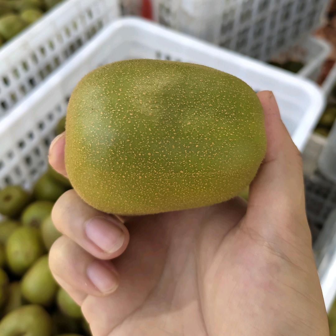 欢欣农人