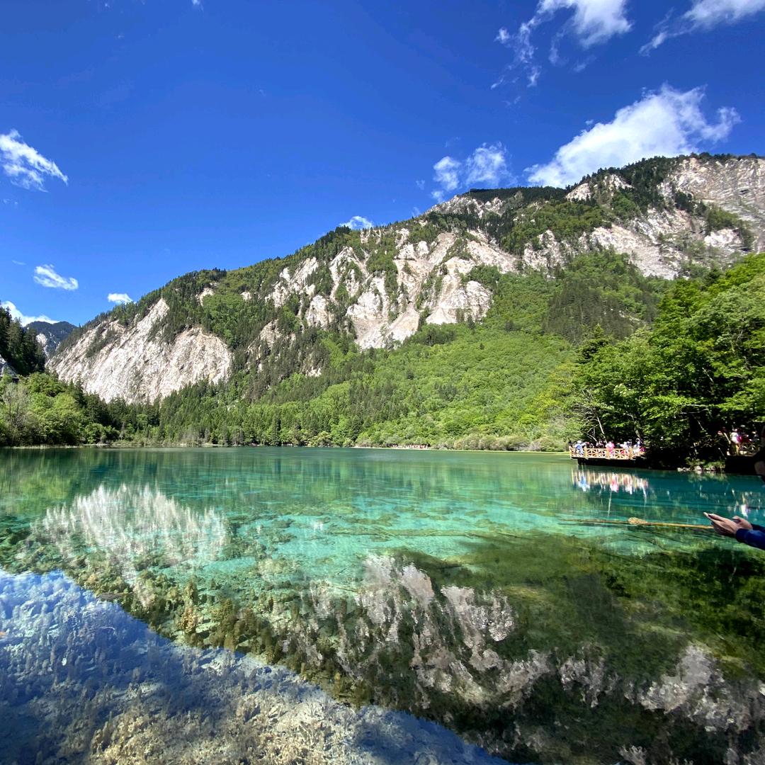 国家一级烧烤品鉴师