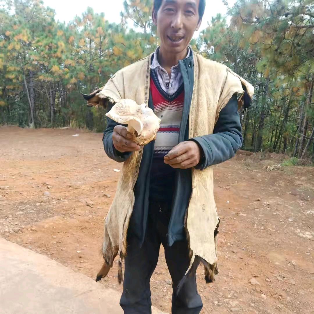 天天幸福