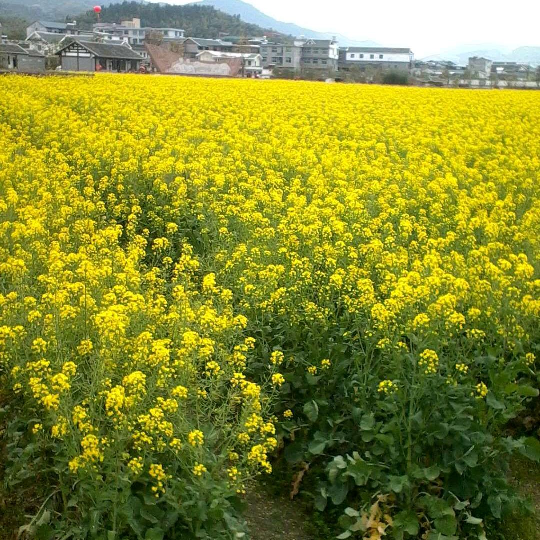 余生快乐每一天