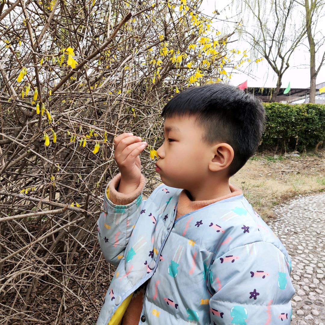 @～猪联🐖币合🍒