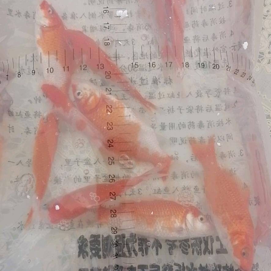 谁的人生都不易