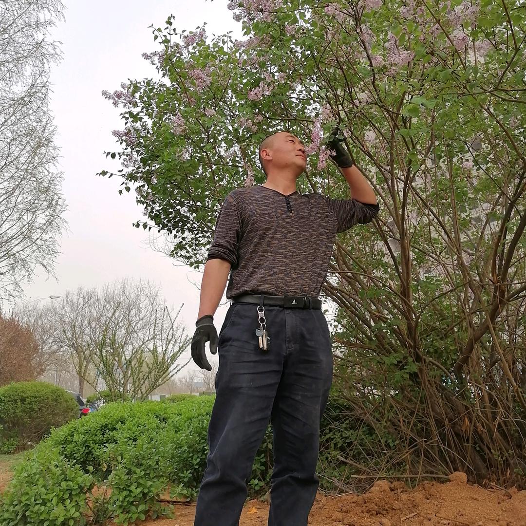 宇航花木的小店