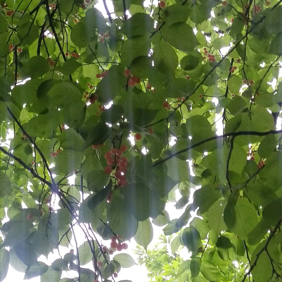 @飞哥