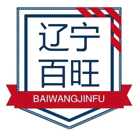 辽宁百旺（税控专家）