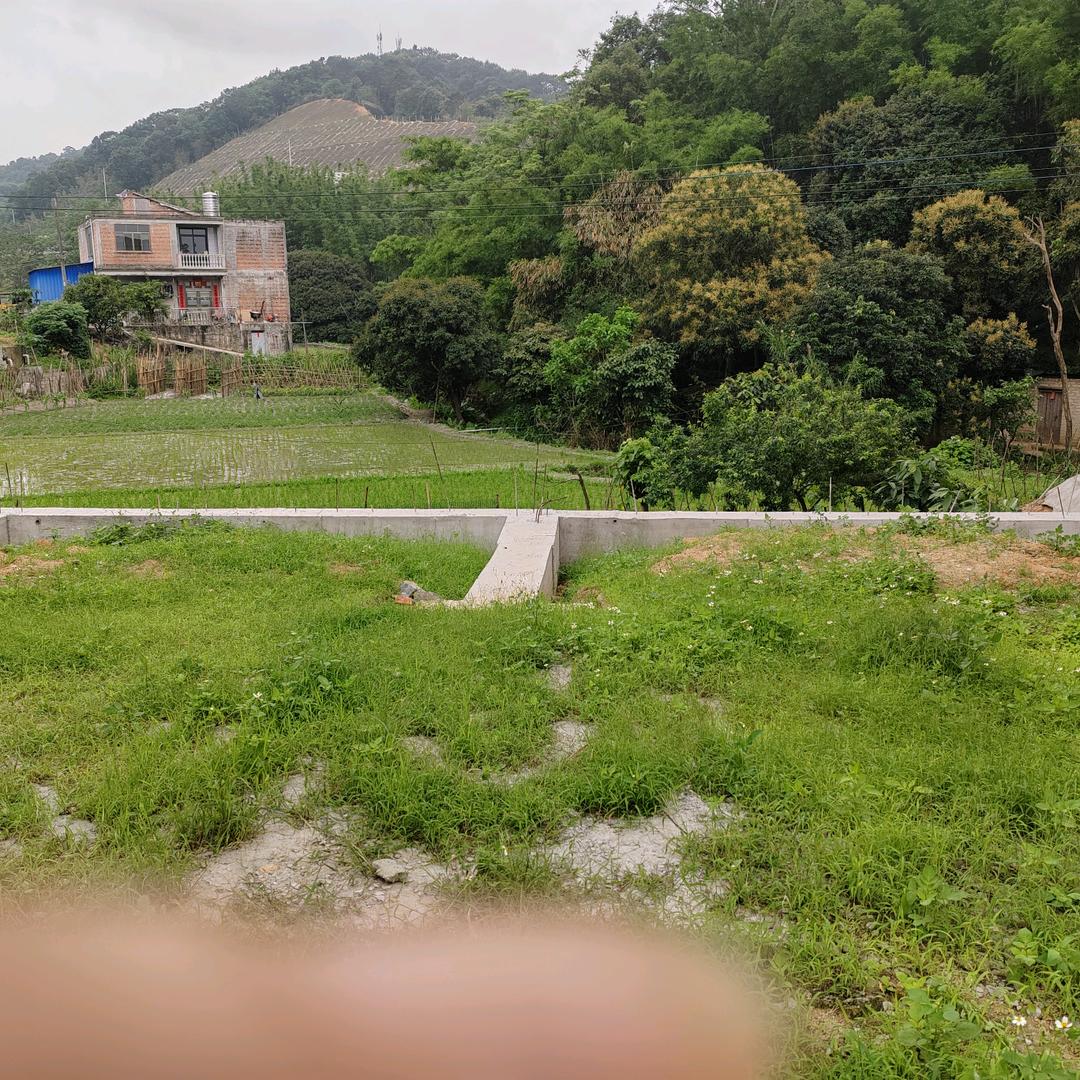铜锅锅