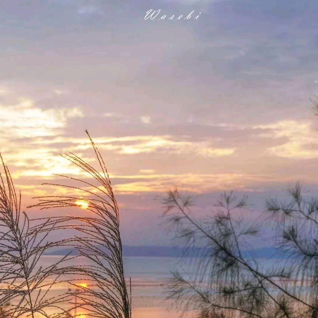 小燕