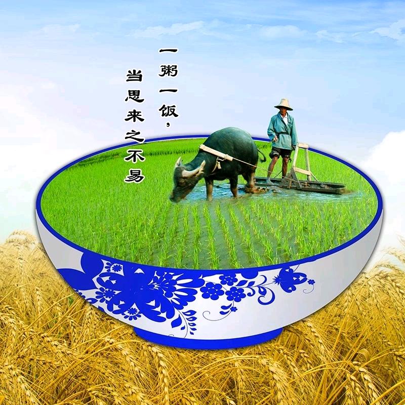 乐游天下那点事