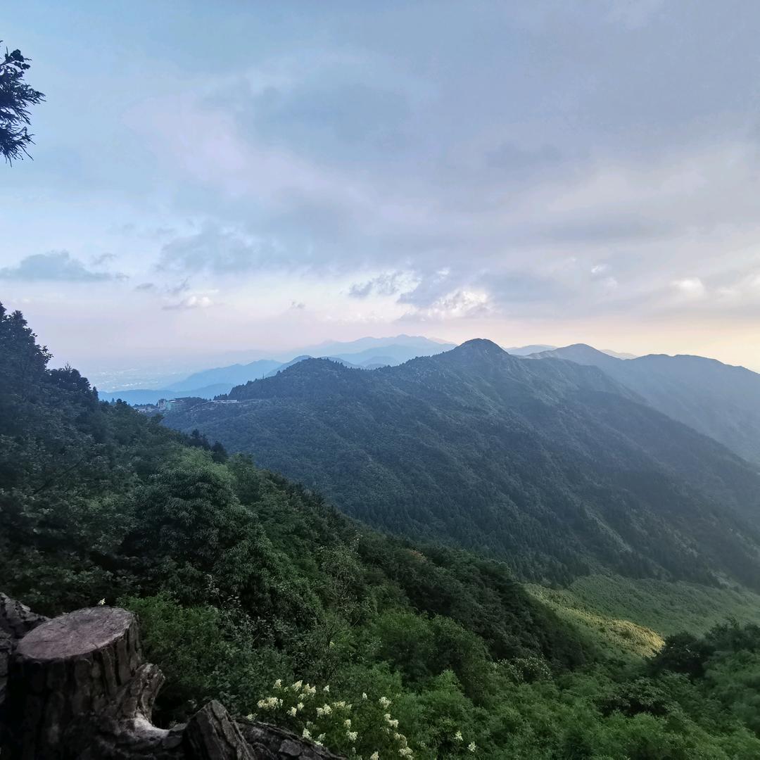 被财神爷偏爱的小富婆
