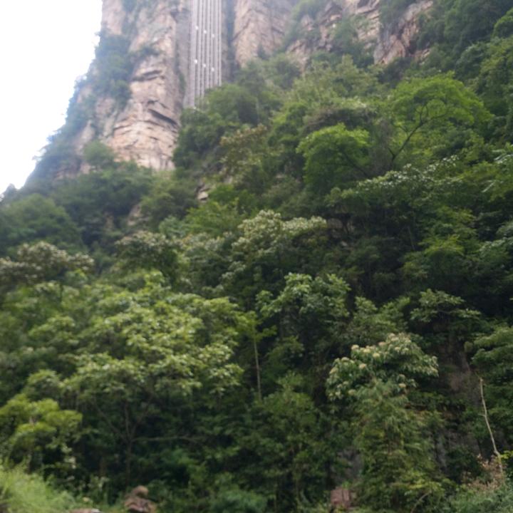 世界旅游