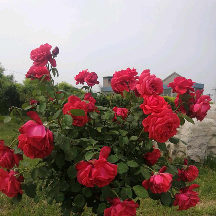 为美好生活加油