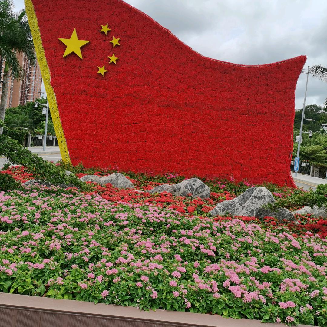 富贵牡丹