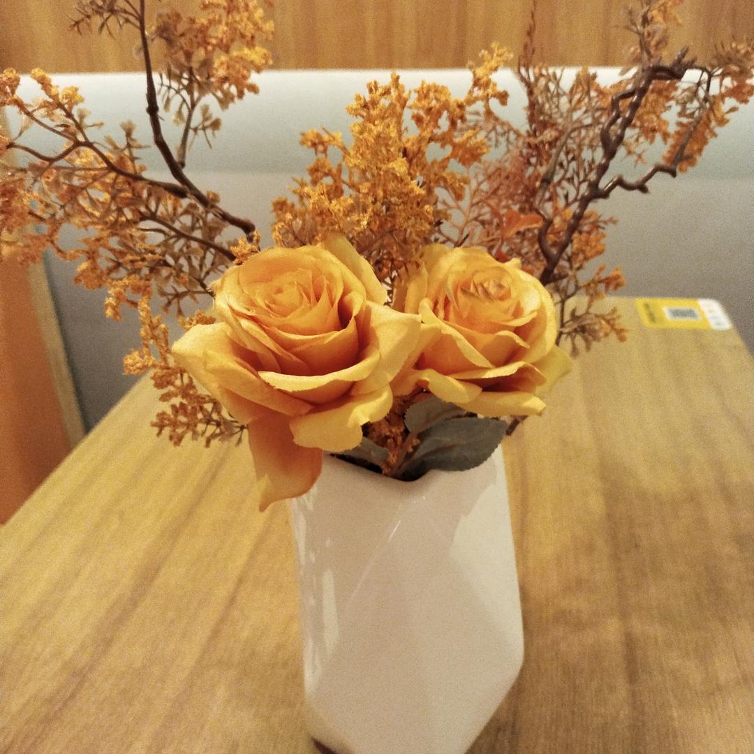 手机用户78798848541