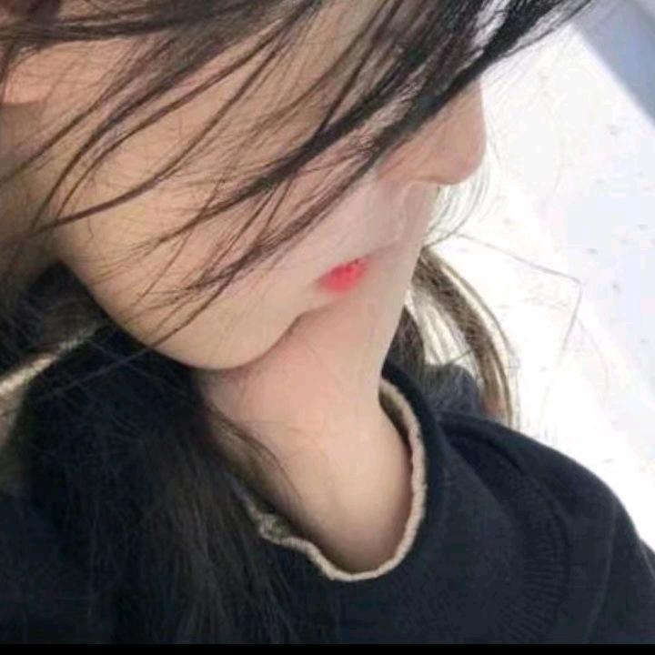 燕子-