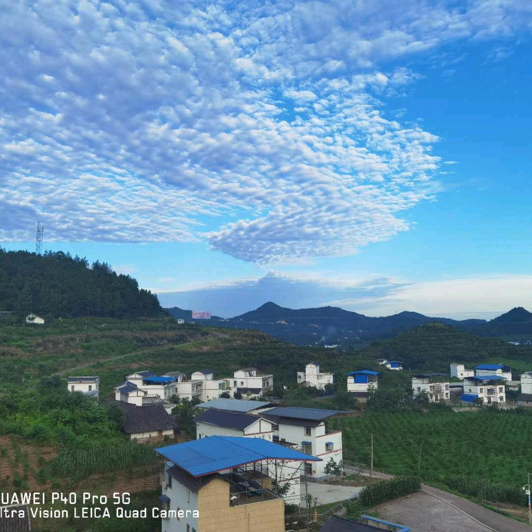 执着&放下