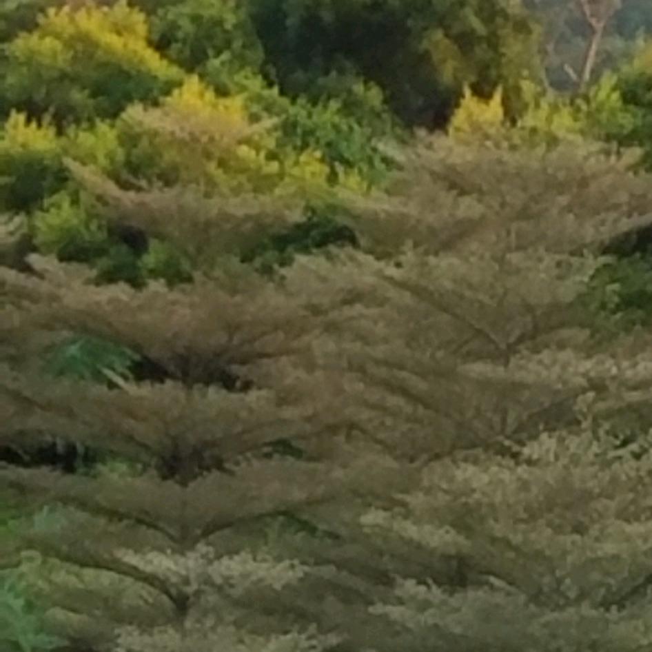 看看末来的日子