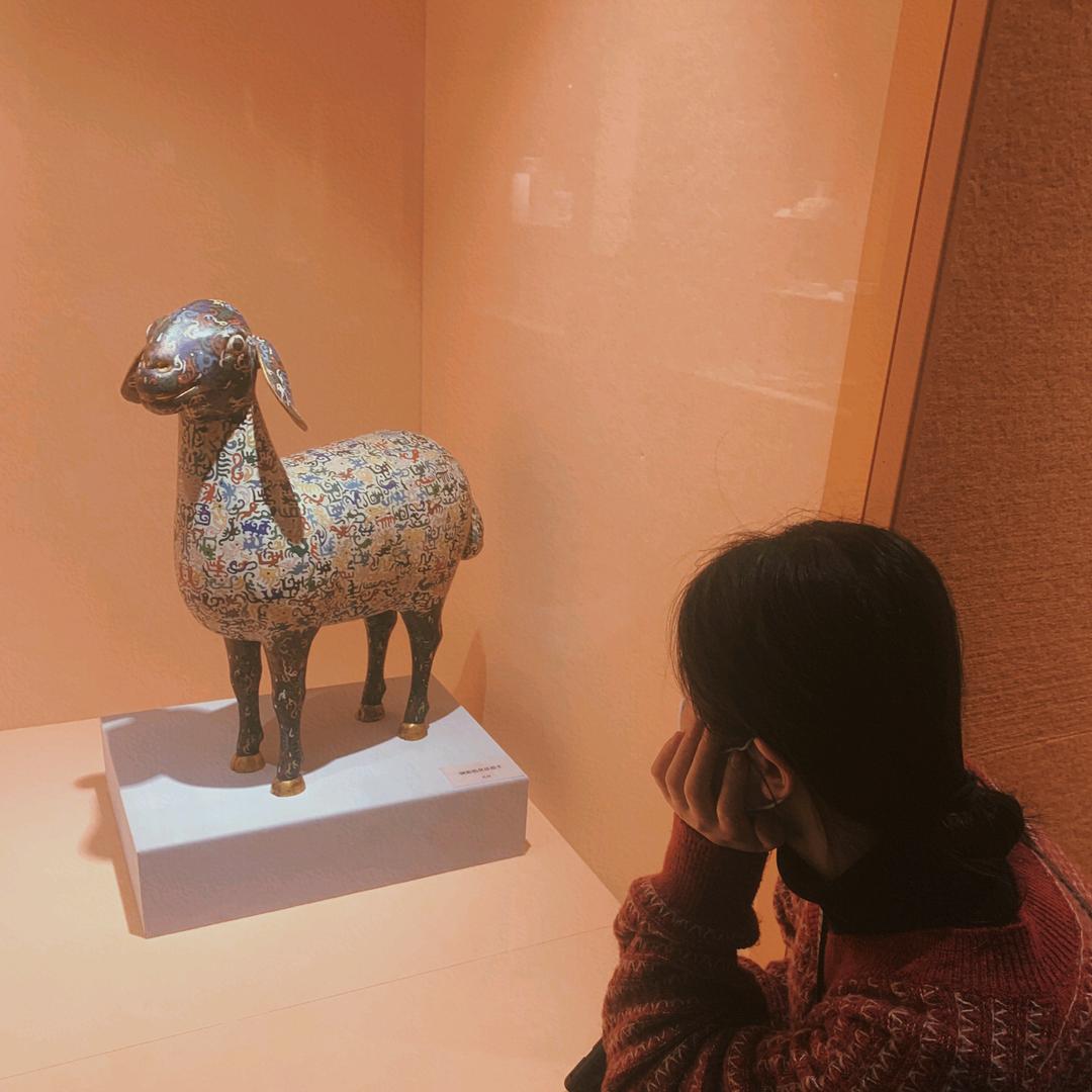 妮子.