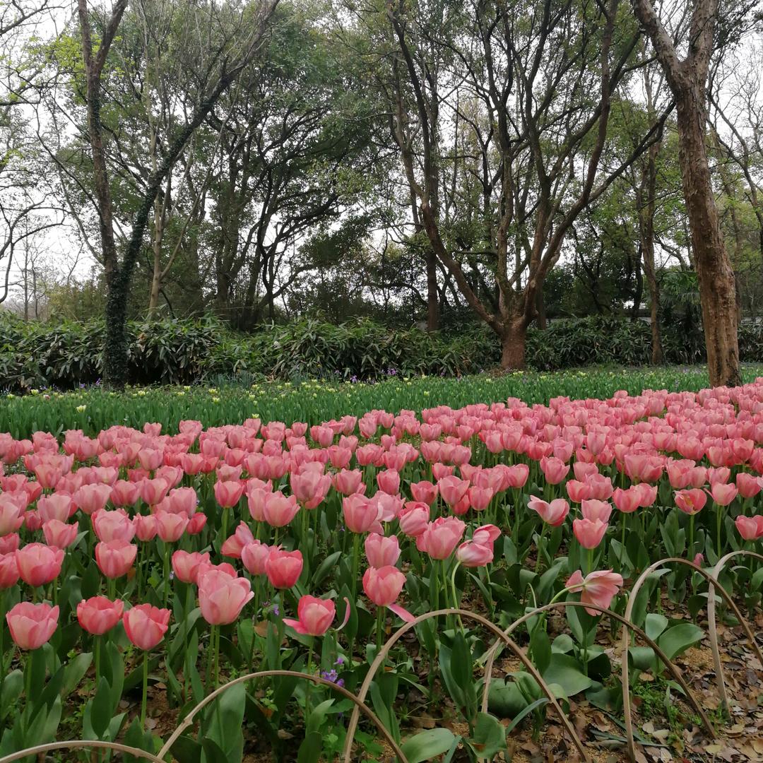 因为有你好物