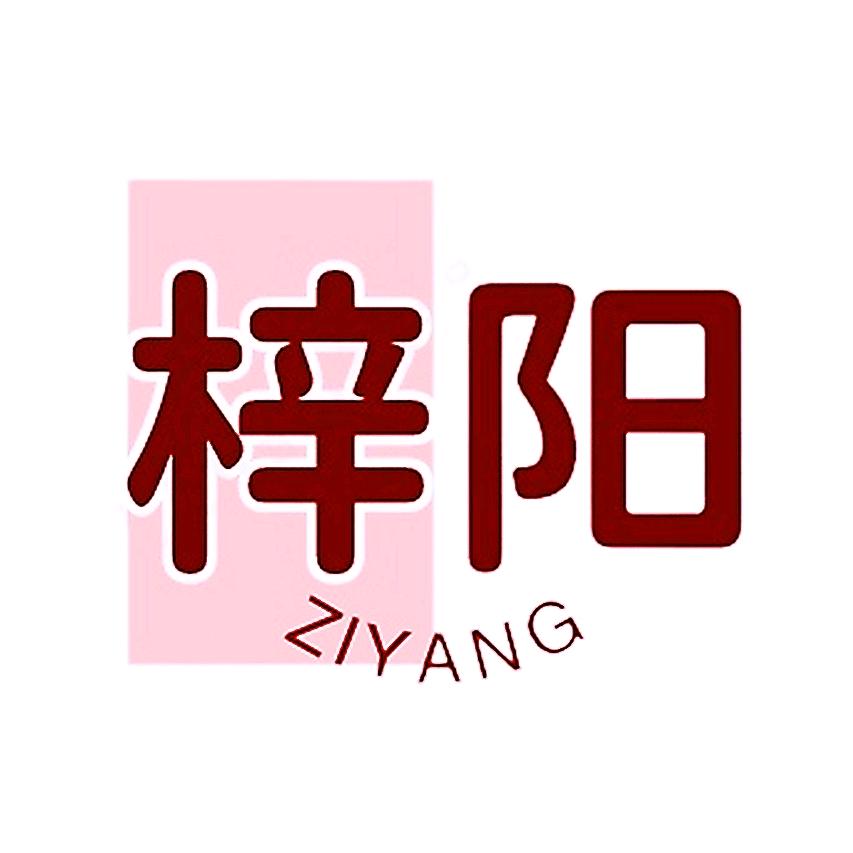 梓阳合金车模