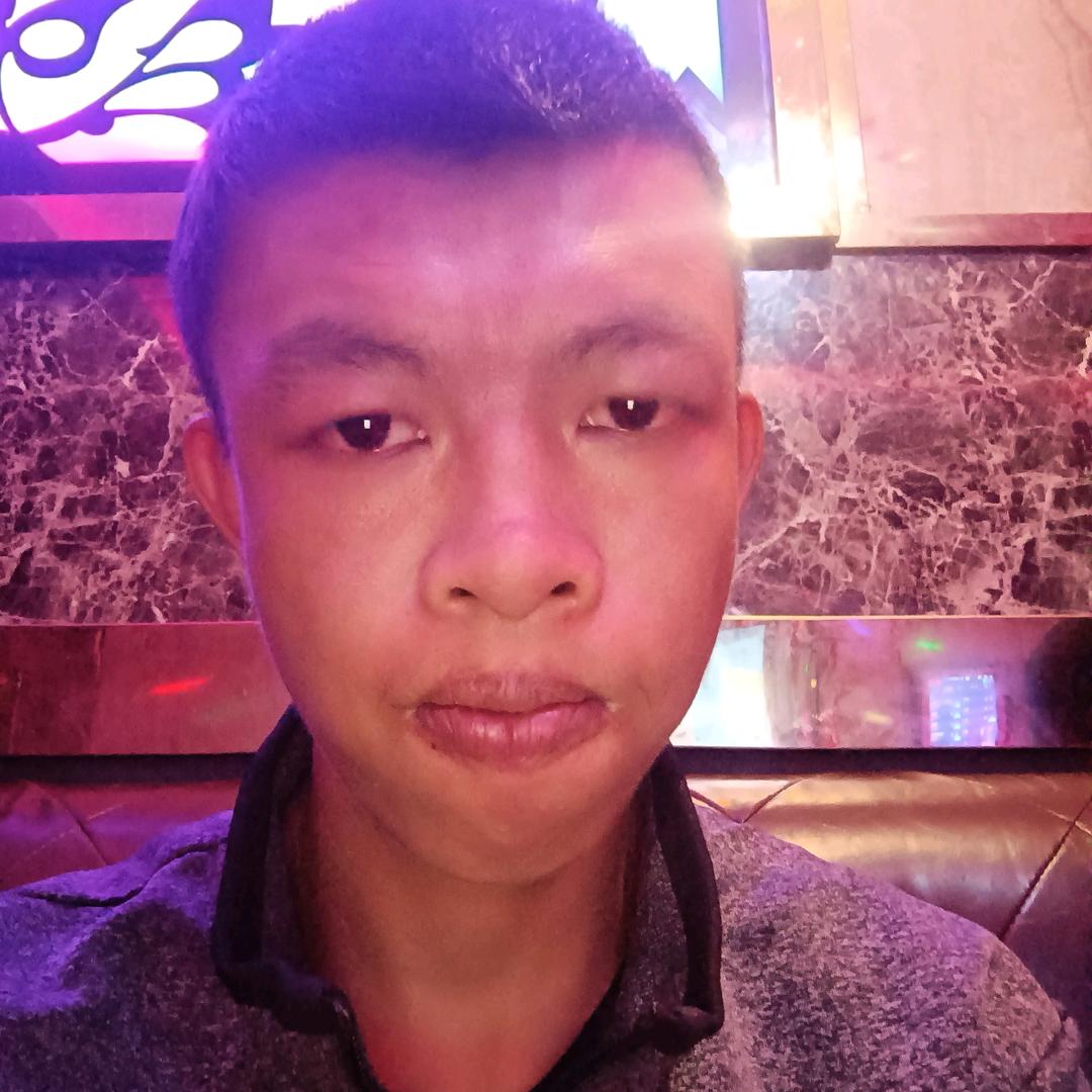 华坪熊老二