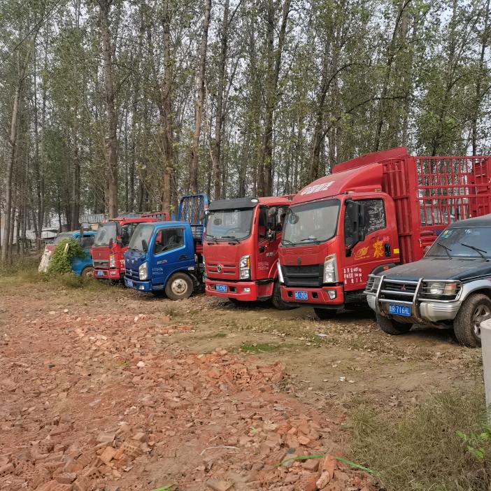 专业介绍货车，收各种篮牌货车