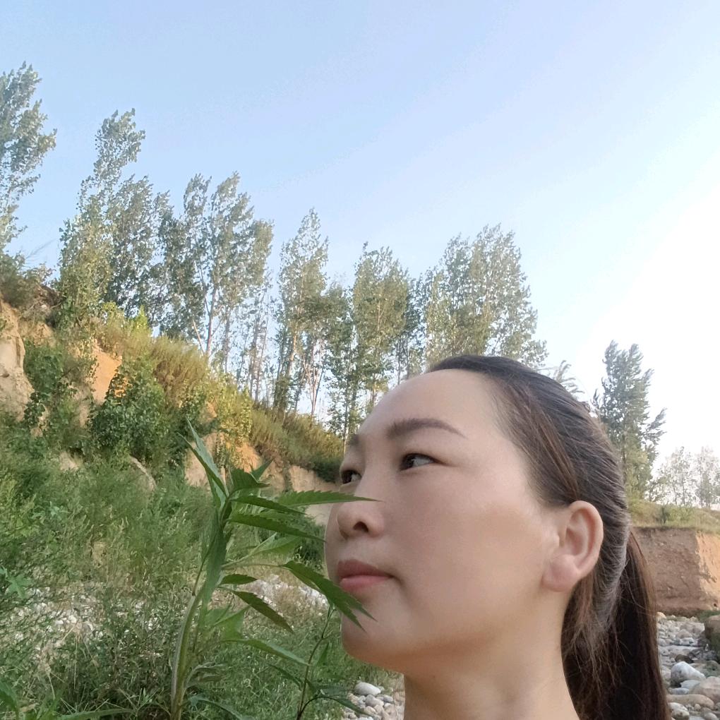 李小娟