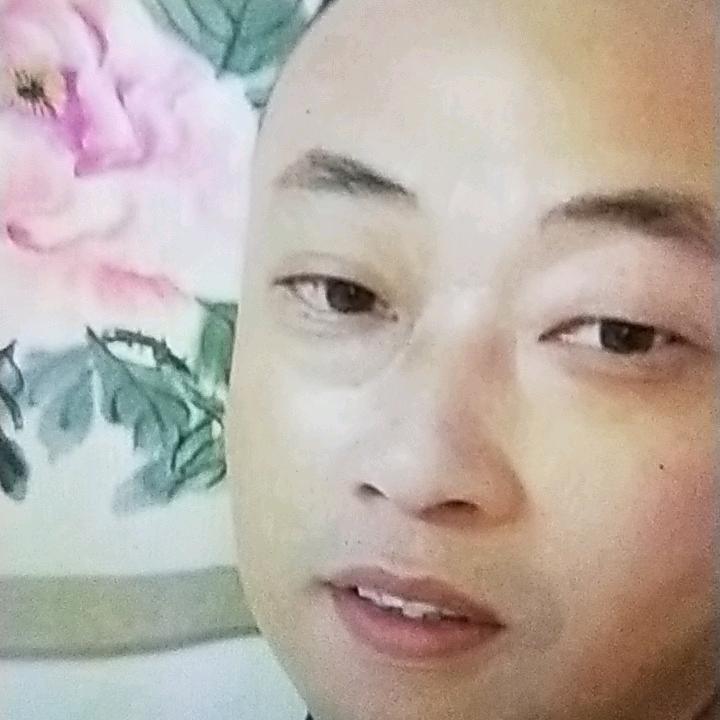 大树讲民间故事