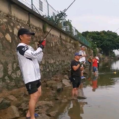 东城大非