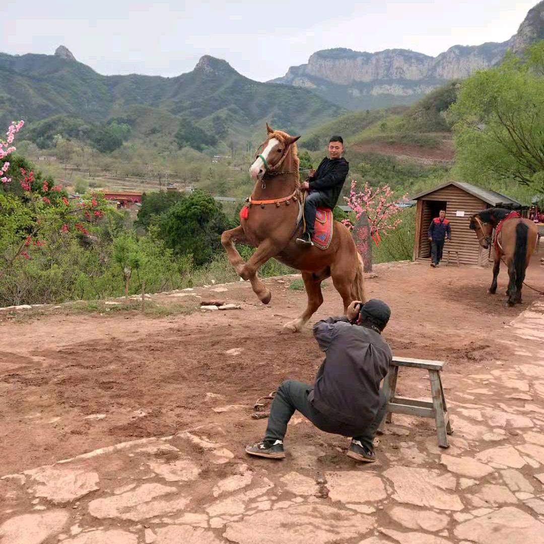 老虎传统板面，香的自然！