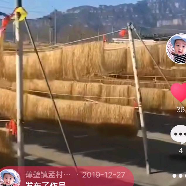 薄壁镇孟村纯红薯粉条加工销售