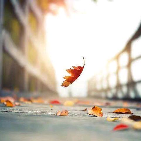 仰望天空的小孩