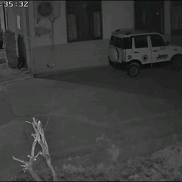 自由者
