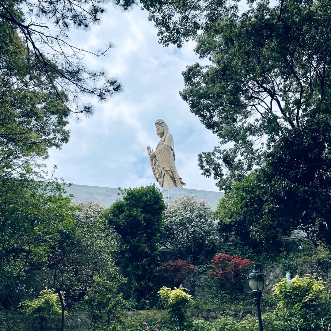 一树一叶一菩提