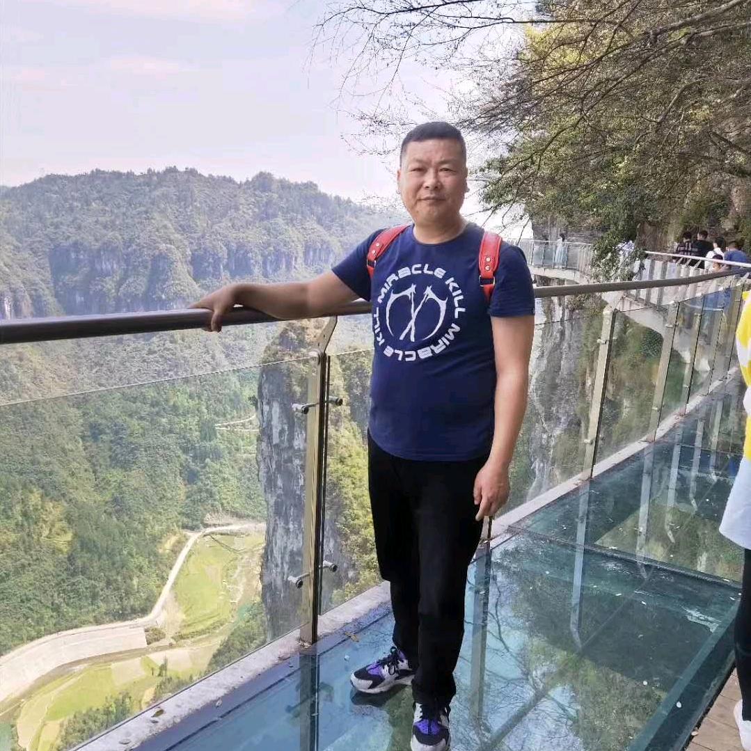 刘努力